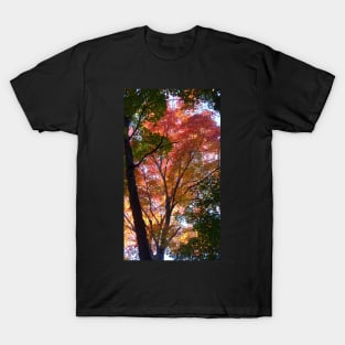 Indian Summer T-Shirt